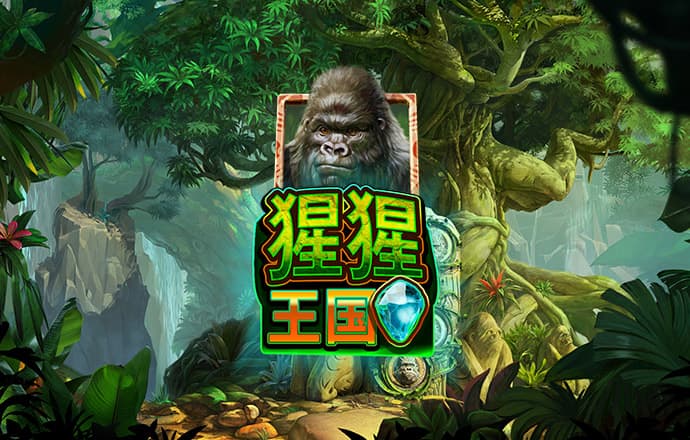 pg电子游戏网址